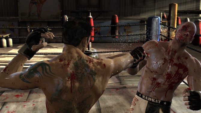 Скриншот игры Supremacy MMA